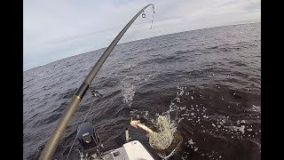 Рыболовная база на реке себла