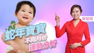 乙巳蛇年出世BB不同月份分析(後補篇) | 這集會後補農曆四，六，八，十月BB 月份分析