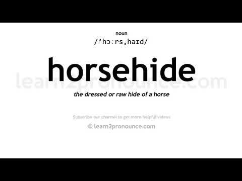 Pronunciation of Horsehide | Definition of Horsehide