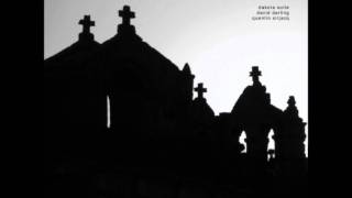 Dakota Suite/David Darling/Quentin Sirjacq - The North Green Down