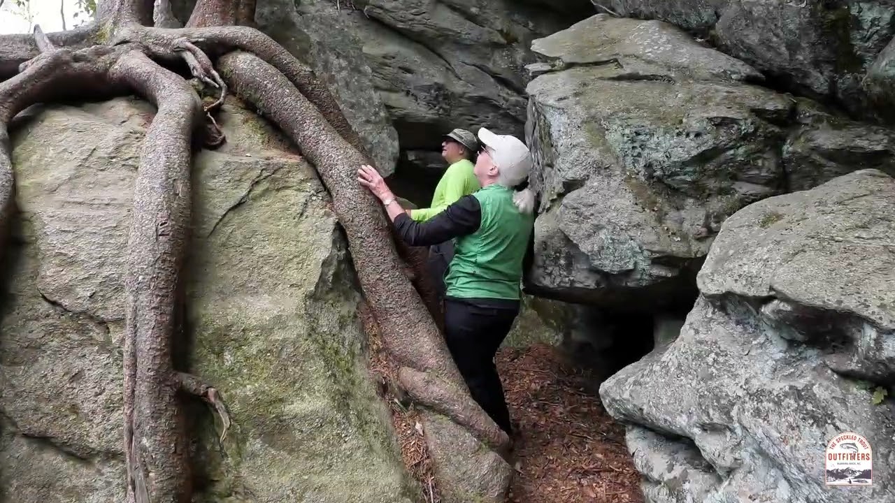 Video 2