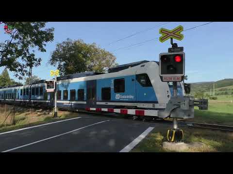 Železniční přejezd Petrov nad Desnou [P9149] - 30.9.2023 / Czech railroad crossing
