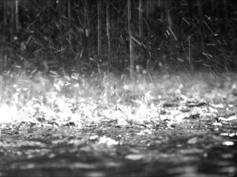 Chlapku CzK -  Brzydal