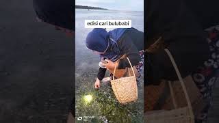 Download lagu edisi cari bulu babi mp3 Download lagu edisi cari bulu babi mp3