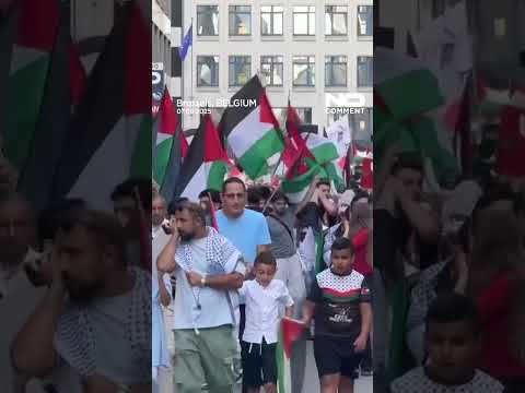 Protesters draw ‘red line’ in Brussels over Gaza war #nocomment #youtubeshorts #shorts #gaza