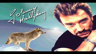 JOHNNY HALLYDAY au bord des routes clip dan sadydan