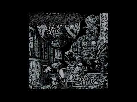Multioptipupileptomie / Grinder Bueno - Split Live Noise Orgy