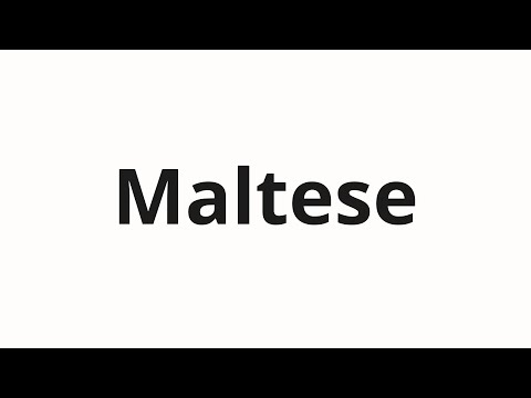 How to pronounce Maltese