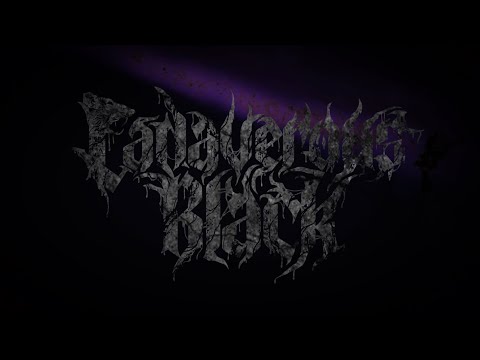 𝖂𝖊𝖑𝖈𝖔𝖒𝖊 𝖙𝖔 𝖙𝖍𝖊 𝖈𝖍𝖆𝖓𝖓𝖊𝖑 𝖕𝖊𝖆𝖘𝖆𝖓𝖙𝖘