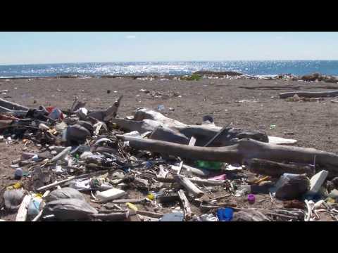 Jornada Limpieza de Playa