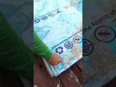 Esto se ha vuelto viral..............#pvc #viral #viraltiktok #Nicaragua #Carazo