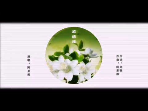 [Vietsub] Hoa nhài - Lão Can Ma & Dương Khải | 茉莉花 - 老干妈X杨啟