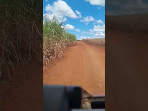 bandeirantes Paraná