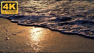 🌊 Relaxing Beach Waves Sounds 4K UHD | Ocean White Noise for Sleep, Meditation & Stress Relief. 🌊