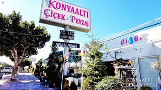 Konyaaltı Çiçek Peyzaj ²⁰²² - Antalya Buket Siparişi - Antalya Nöbetçi Çiçekçi -
