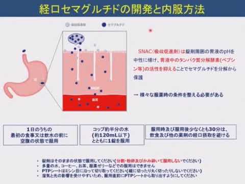 セマグルチド: それは何か、何のためにあるのか、どのように作用し、どのように使用するのか