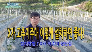 X자 고추지주대 효과적으로 박는방법 장단점 Y자고추지주대 설치