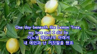 Lemon Tree - Peter, Paul &amp; Mary: with Lyrics(가사번역) || 레몬 트리