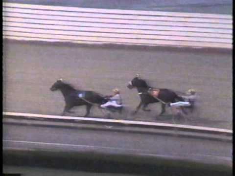 1990 Yonkers Trot - Eliminations and Final - Royal Troubadour