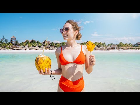 ESTE FUE MI REGALO DE CUMPLEAÑOS