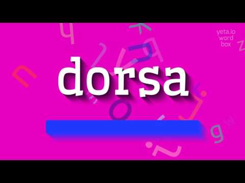 How to say "dorsa"! (High Quality Voices)