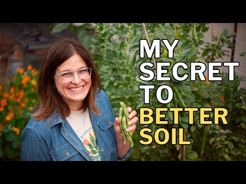 FAVA BEAN GROWING GUIDE: Grow for Food and Better Soil