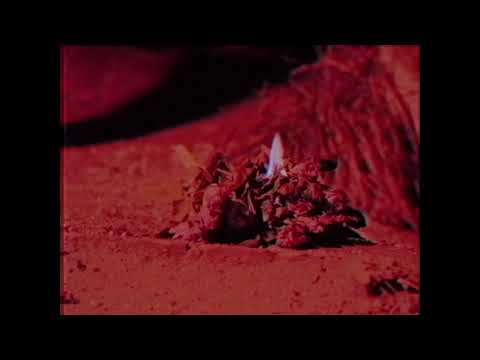 Totally Nothin - Kde ty kytky jsou feat. Dorian (audio)