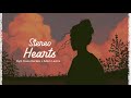 Vietsub Stereo Hearts Gym Class Heroes Adam Levine Lyrics Video