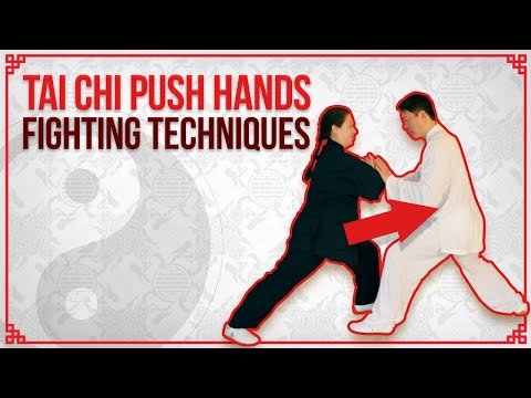 太極推手Tai Chi Fighting | Push Hands Techniques
