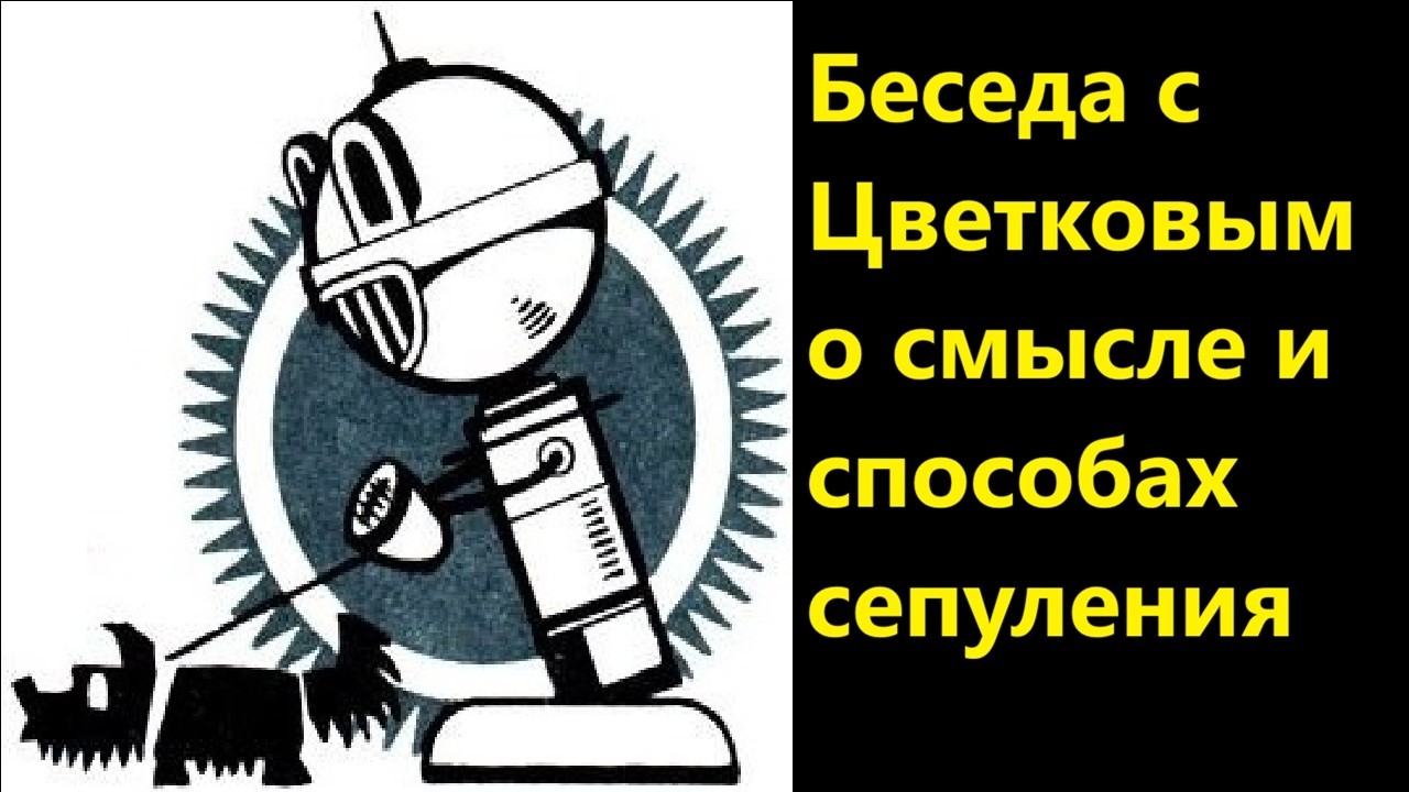 Беседа с Цветковым о смысле и способах сепуления