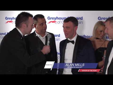Racing Post Greyhound TV Stayer of the Year 2018- Bombers Bullet