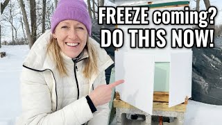 Freezing Weather Coming? Do THIS for Your Bees