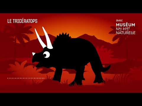 Le Tricératops : une forte tête - Bestioles fossiles