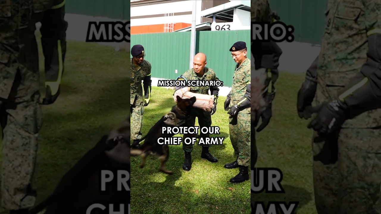 COA joined Close Protection Officers in a training scenario during his  visit to MPEU last week!