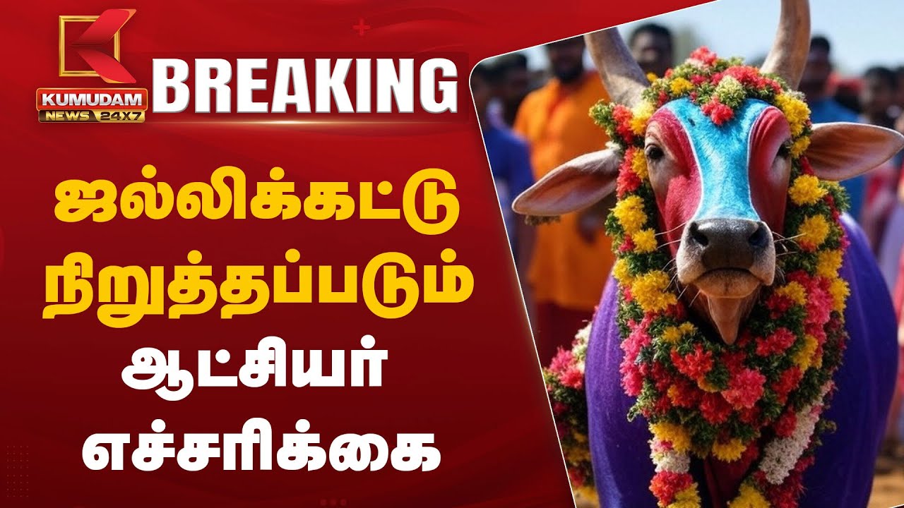 ஜல்லிக்கட்டு நிறுத்தப்படும் - ஆட்சியர் எச்சரிக்கை