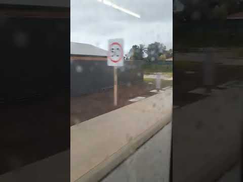 Transperth bus no 2149