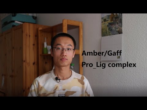 1-6 Amber protein GAFF ligand