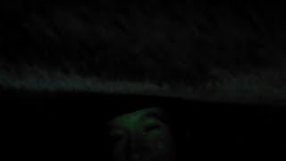 language or the kiss. indigo girls.