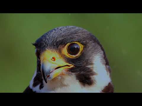 Renversons la tendance