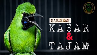 Download lagu 🔴KASAR DAN TAJAM‼️MASTERAN CUCAK IJO GACOR FULL ISIAN TEMBAKAN mp3 Download lagu 🔴KASAR DAN TAJAM‼️MASTERAN CUCAK IJO GACOR FULL ISIAN TEMBAKAN mp3