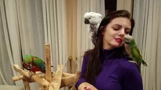 My parrots reaction after not seeing me for ten days! Rocky waves!! | PARRONT TIP TUESDAY