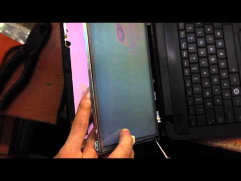 Màn Hình Laptop Toshiba Satellite C800