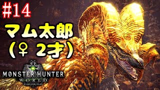 【マムタロト周回】参加OK！一狩りいこうぜ！【MHW】#14