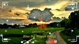 Download lagu story wa Rino ing wayah wengi... mp3