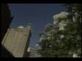 9/11 WTC Rare Video of First Plane Attack - WNYW.