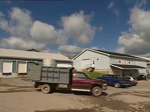 Imagefilm Wilde Blaubeeren aus Kanada