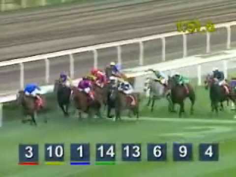 2004 Hong Kong Cup - Alexander Goldrun