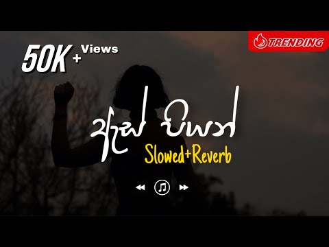 As Piyan - ඇස් පියන් (Slowed+Reverb)