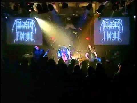 Alabaster Morgue - Cerebral Titty Action (Live)