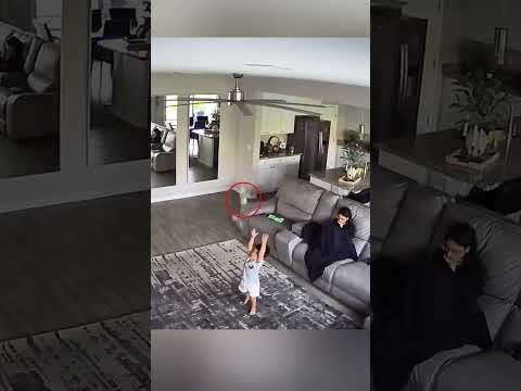 Bottle Flip Challenge, No Way That Just Happened #bottleflip #shorts